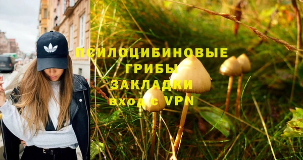 ПСИЛОЦИБИНОВЫЕ ГРИБЫ Алексеевка
