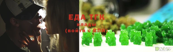 индика Алзамай