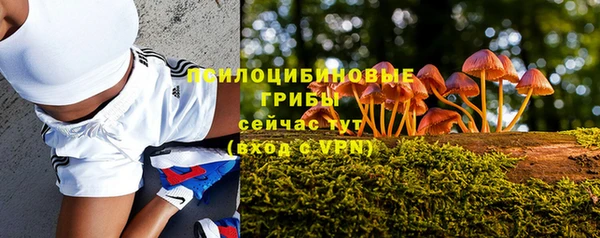a pvp Алексин