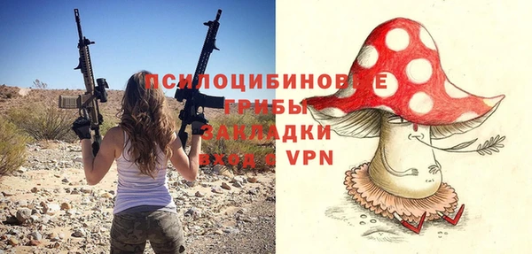 a pvp Алексин