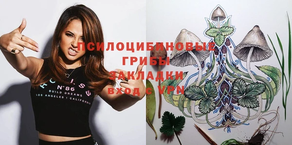 ПСИЛОЦИБИНОВЫЕ ГРИБЫ Алексеевка