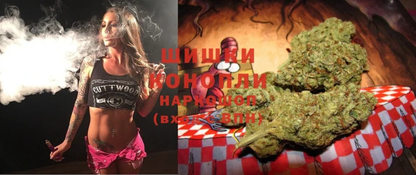 индика Алзамай