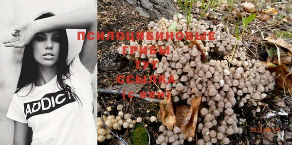 a pvp Алексин