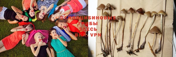 a pvp Алексин