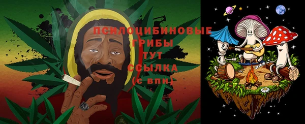 индика Алзамай