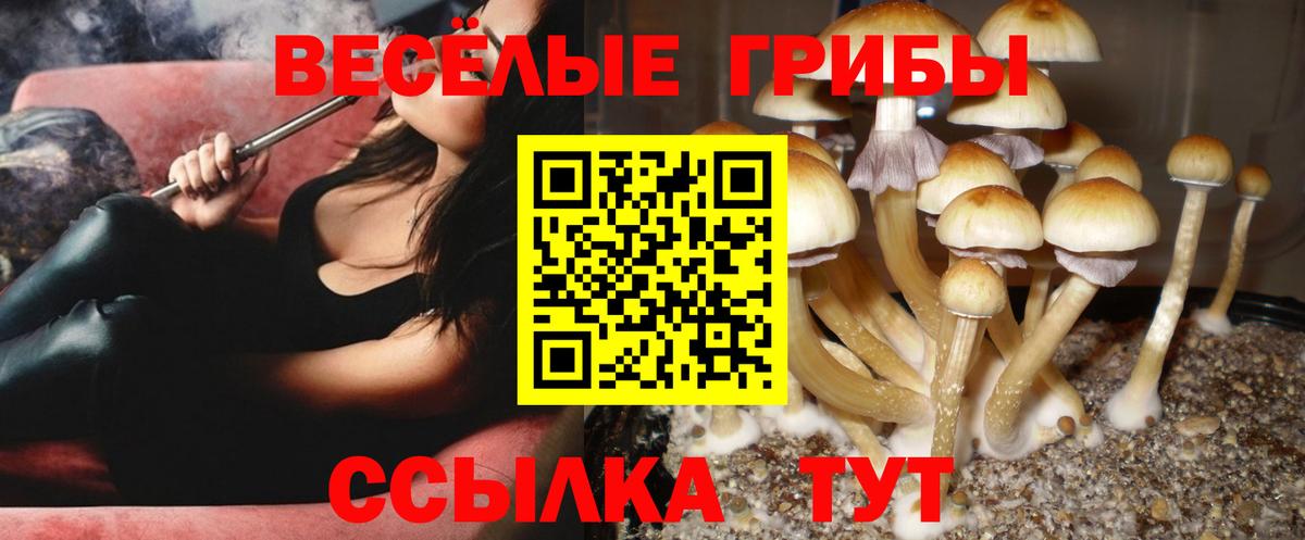 Сосновоборск  Галлюциногенные грибы мицелий  как найти   Вход с VPN 
